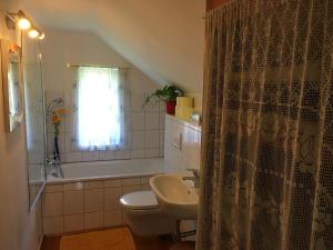 a bathroom with a sink and a toilet and a shower at Haus Schartner Aloisia in Altaussee