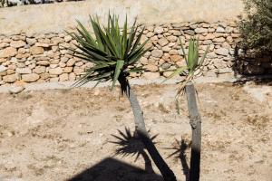 Fotografie z fotogalerie ubytování Paradise Hotel v destinaci Koufonisia