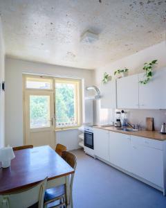 Kuchyň nebo kuchyňský kout v ubytování Studio Hronov Apartment No1