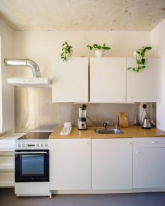Kuchyň nebo kuchyňský kout v ubytování Studio Hronov Apartment No1