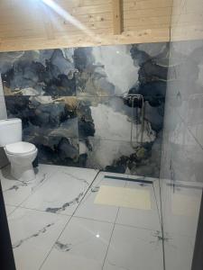 een badkamer met een muur die gerenoveerd wordt bij Rivera Cabin in Colibiţa +8 foto's