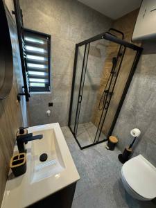 a bathroom with a shower and a sink and a toilet at Jeleśniczówka in Jeleśnia +15 photos