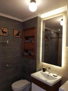 Kúpeľňa v ubytovaní DivciCasa apartments Divčibare