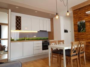 Kuchyňa alebo kuchynka v ubytovaní DivciCasa apartments Divčibare