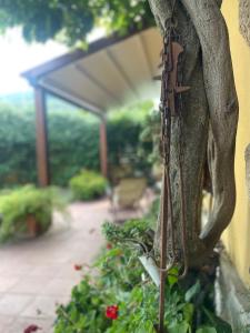 Zahrada ubytování Corte L'Ovo - Country House 15 minutes from the heart of Verona