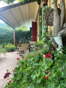 Zahrada ubytování Corte L'Ovo - Country House 15 minutes from the heart of Verona