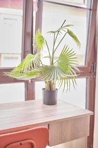 a potted plant sitting on top of a table at The Nest - by Wehomes in Santander