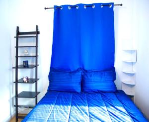 a bedroom with a blue bed with a blue canopy at x 3blue2934 in Brooklyn