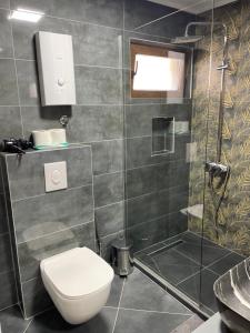 a bathroom with a toilet and a shower at Meshkoski Apartments in Peštani +4 photos