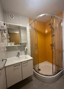 a bathroom with a shower and a sink at Guest house Ema in Grabovac +78 photos