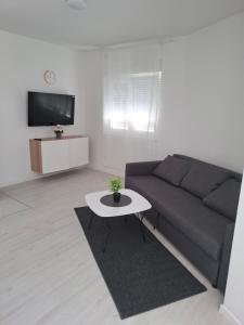Μια τηλεόραση ή/και κέντρο ψυχαγωγίας στο Monami Apartman Charlie