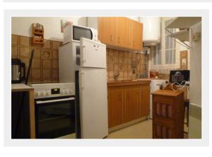 ピュジェ・テニエにあるAppartement Puget Theniersのキッチン(白い冷蔵庫、コンロ付)