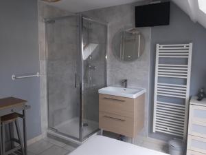 a bathroom with a shower and a sink at Chambres d'hôtes Sébastien in Ruaudin +24 photos