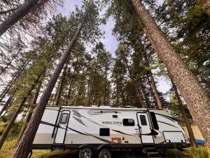 a white rv parked in the middle of a forest at Glacier Park Hideaway in Columbia Falls