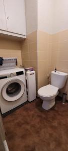 ein Badezimmer mit Toilette und Waschmaschine in der Unterkunft Havre de paix in Évian-les-Bains