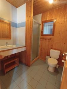 une salle de bains avec toilettes et lavabo dans l'établissement Grande maison familiale jusqu'à 14 personnes à Lans en Vercors, à Lans-en-Vercors