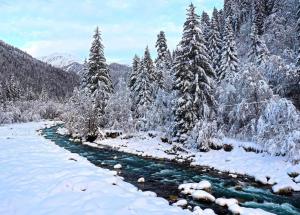 a river in a snowy forest with snow covered trees at Villa Shoda in Oni