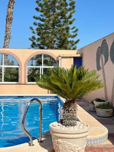 Hồ bơi trong/gần Villa Mendes Gneuss