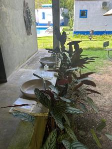Chalézinho Santorini & Eventos外面的花园