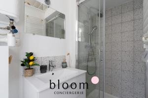 a bathroom with a shower and a white sink at Le Diamant tout équipé de la Vieille Ville in Nancy