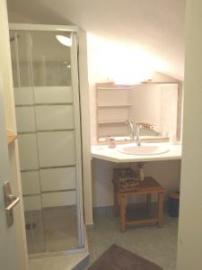 a bathroom with a sink and a glass shower at La Buissière - Gite Savane in Duravel