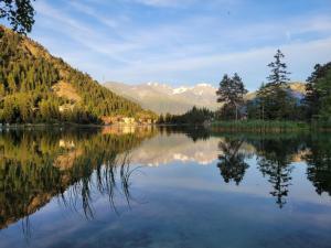 Blick auf einen See mit Bergen im Hintergrund in der Unterkunft Mes petits nids in Champex