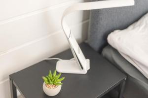 Fotografie z fotogalerie ubytování 100 qm DG Wohnung 《Kehr wieder》Bexbach Saarland v destinaci Bexbach