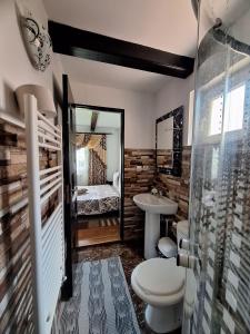a bathroom with a toilet and a sink and a shower at Magura Raraului in Câmpulung Moldovenesc