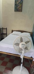Postel nebo postele na pokoji v ubytování White Rabbit Hostal
