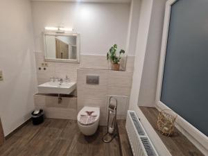 a bathroom with a toilet and a sink at FeWo Herzenstölen in Sebnitz +13 photos