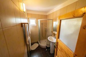 a small bathroom with a shower and a sink at Pensiunea Tiuta in Corbeni +35 photos