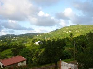 a view of a hill with houses and trees at Appartement familial à Saint-Esprit, 95m² avec terrasse in Quartier Palmène