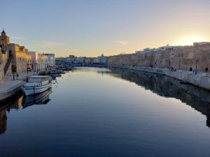 比塞大vieux port bizerte的城市中一条有船的河流