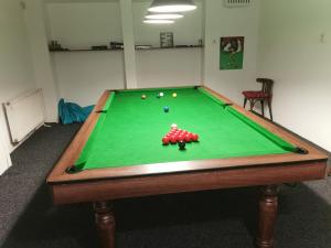 a pool table with balls on top of it at Apartmán BBB1 in Děčín