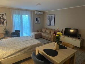 Φωτογραφία από το άλμπουμ του Apartmani Porta Infinitas σε Vrnjačka Banja +220 φωτογραφίες