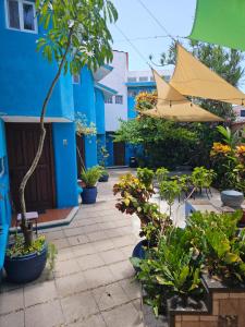 Zahrada ubytování Hotel Villas Las Anclas