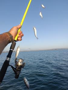 Gallery image of Vera's Home in Anaklia +9 photos