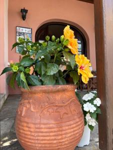 Fotografie z fotogalerie ubytování Villa Sunray v destinaci Agios Ioannis Pelio