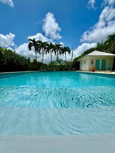 ル・ゴジエにあるVue mer et montagne, piscine, proche de la plage avec citerne d eau et parkingのヤシの木が背景に広がる青い大型スイミングプール