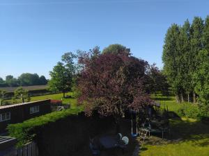 Afbeelding uit fotogalerij van Wabi Sabi in Torhout