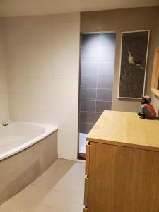 a bathroom with a bath tub and a sink at Artist's house for rent in Guérande +25 photos