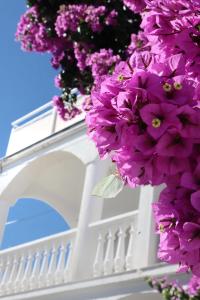 a bunch of purple flowers next to a white fence at Villa Maris in Veli Iž