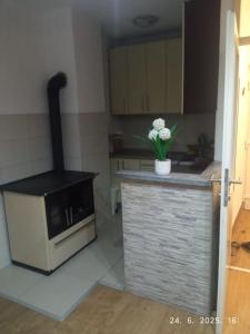 Η κουζίνα ή μικρή κουζίνα στο Apartman Dijana
