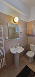 a bathroom with a sink and a toilet at Grey House in Prinos +11 photos