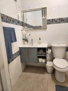 a bathroom with a toilet and a sink and a mirror at Private pool large yard minutes to beach or ferry in Ceiba