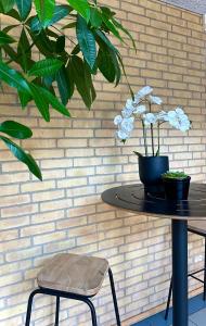 Φωτογραφία από το άλμπουμ του MOVE Eco Health Hotel σε Kalundborg