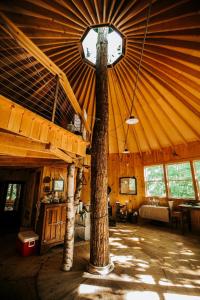 Μια τηλεόραση ή/και κέντρο ψυχαγωγίας στο Escape to Tree House Island Life