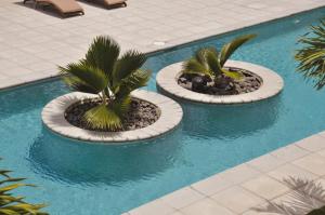 two palm trees in a swimming pool at Astra Beach Club & Resort in Marcelino