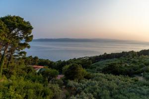 Gallery image of BrelaMed in Brela