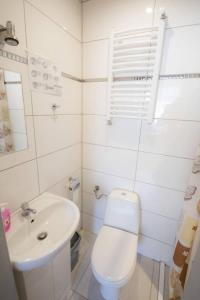 a white bathroom with a toilet and a sink at Dom Wczasowy Lech in Susiec